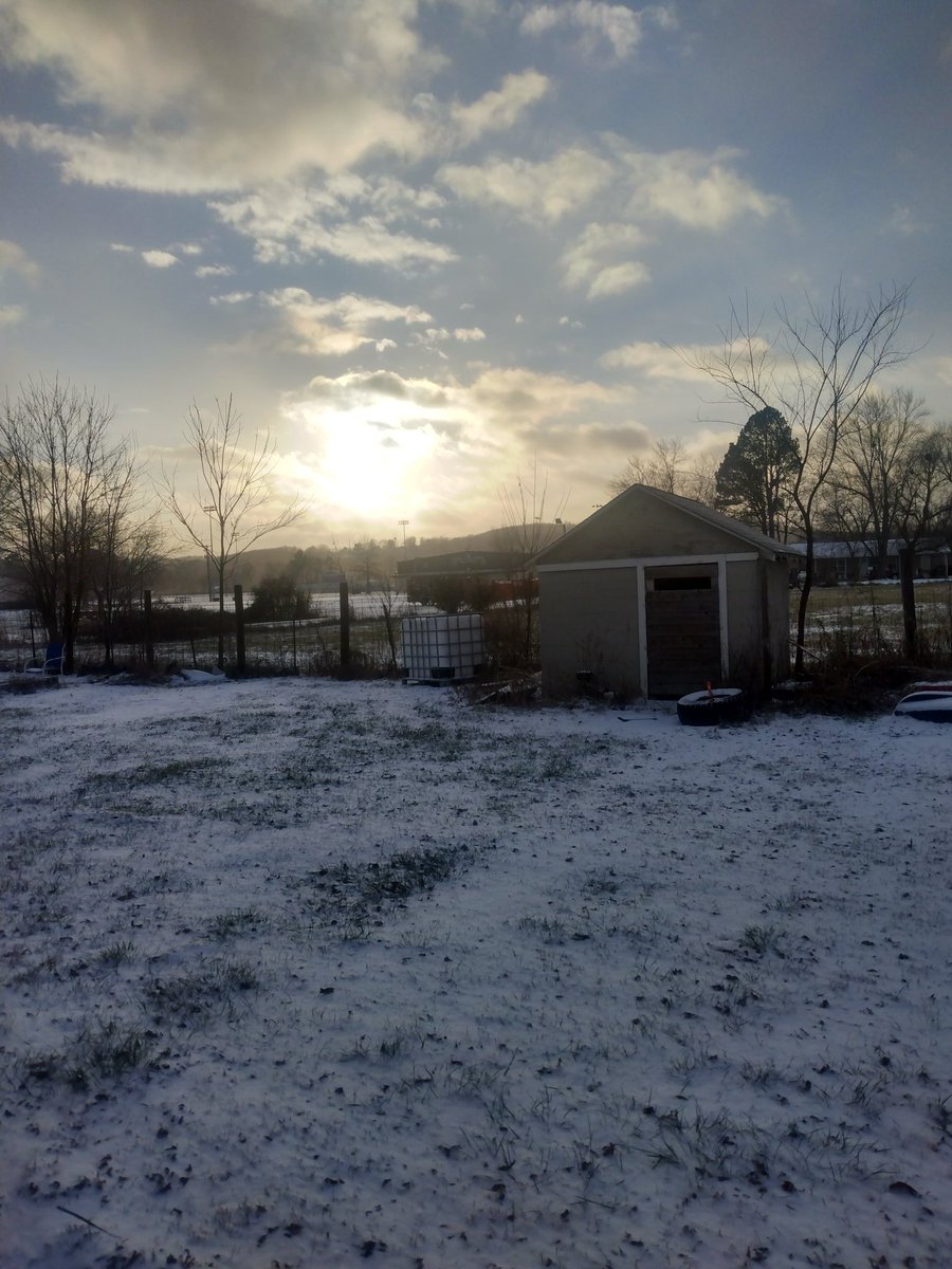 Angela Hughes tweet media