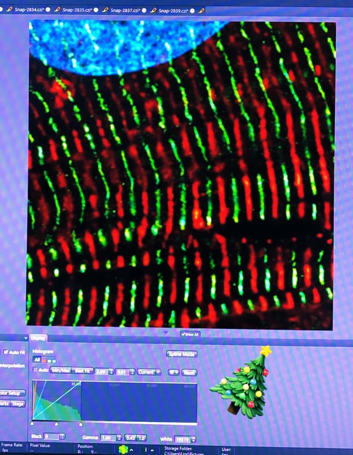 It smells like 🎄🎅