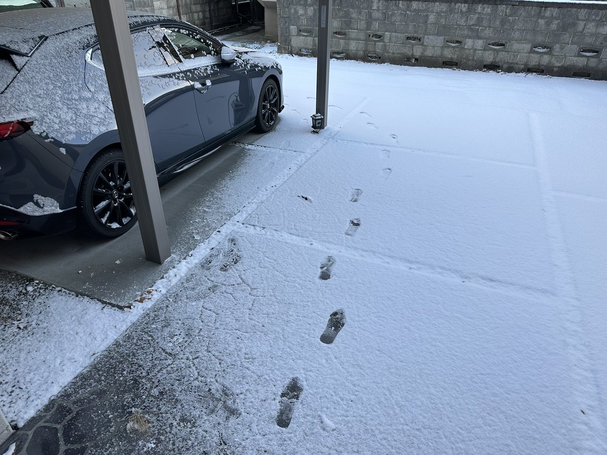 fafa0794613's tweet photo. 雪だ❄️ https://t.co/S9juAZrM8r