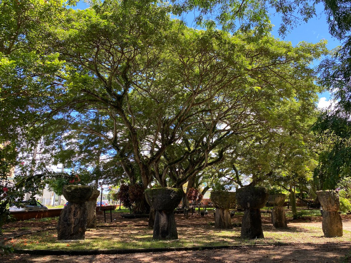 Guam Museum tweet media