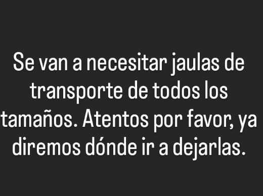 fund_quiltro's tweet photo. https://t.co/DI1ht9jK4j