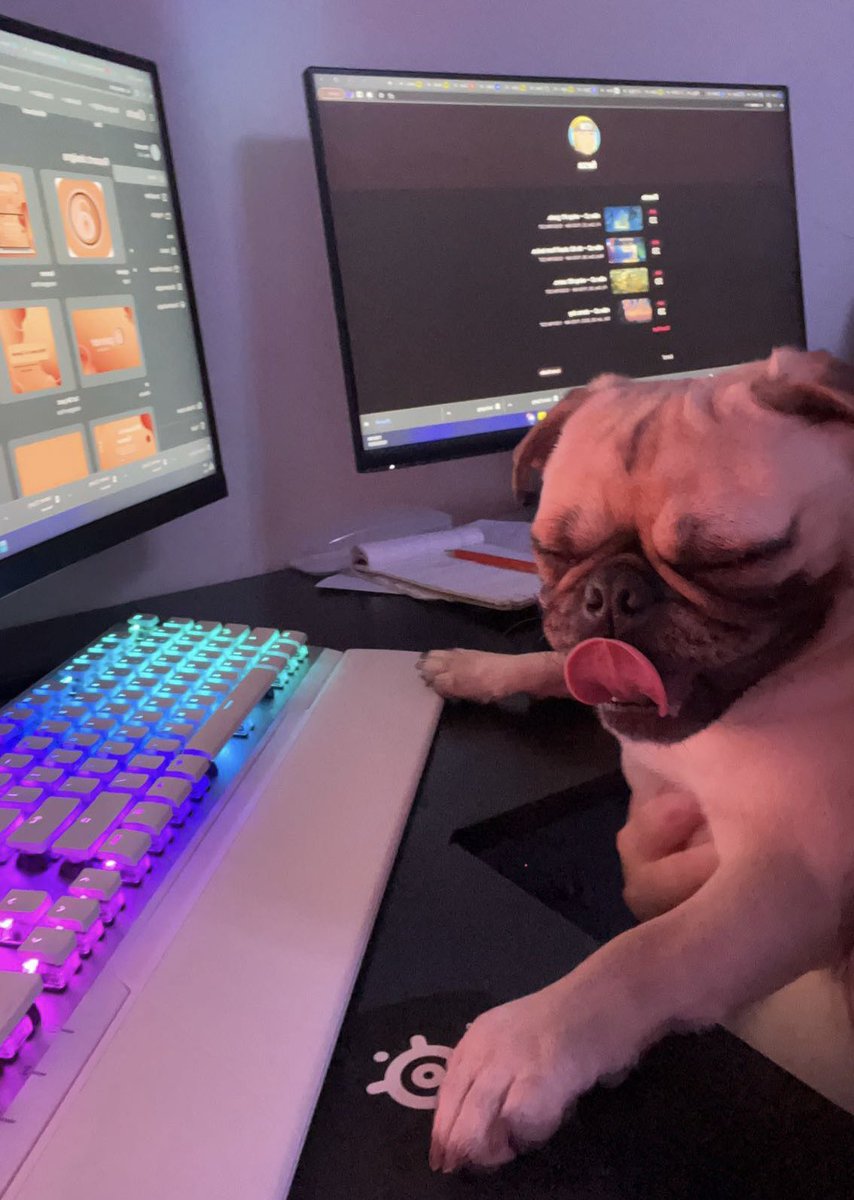 Cheyenna Armstrong tweet media