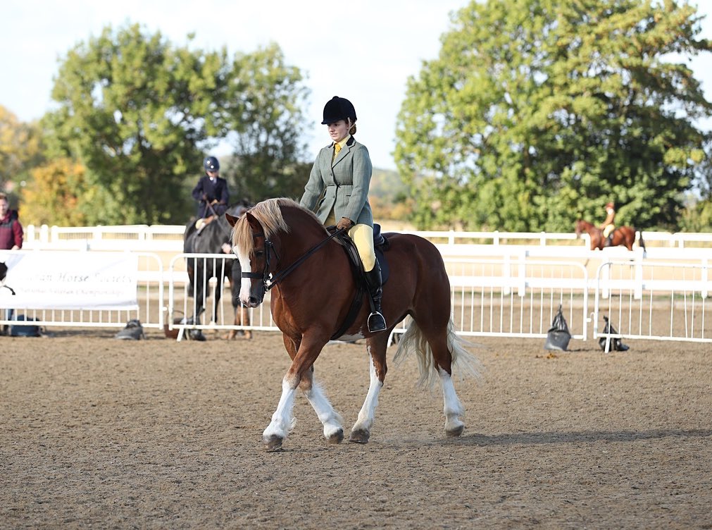GingerEquestrian🧡🇬🇧 tweet media