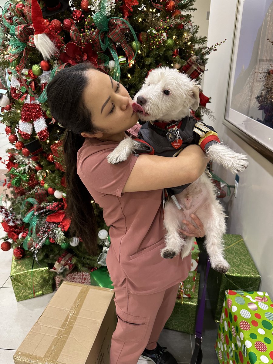 As part of our “Gift. Give. Glow!” toy drive, my brother Deke and I delivered 110 stuffies and bobbleheads, along with 100 coloring books &amp; crayons to The Children’s Medical Center at Summerlin Hospital! 
Thank you to everyone for your support!
~ Bark🐾
#PawYouNeedIsLove