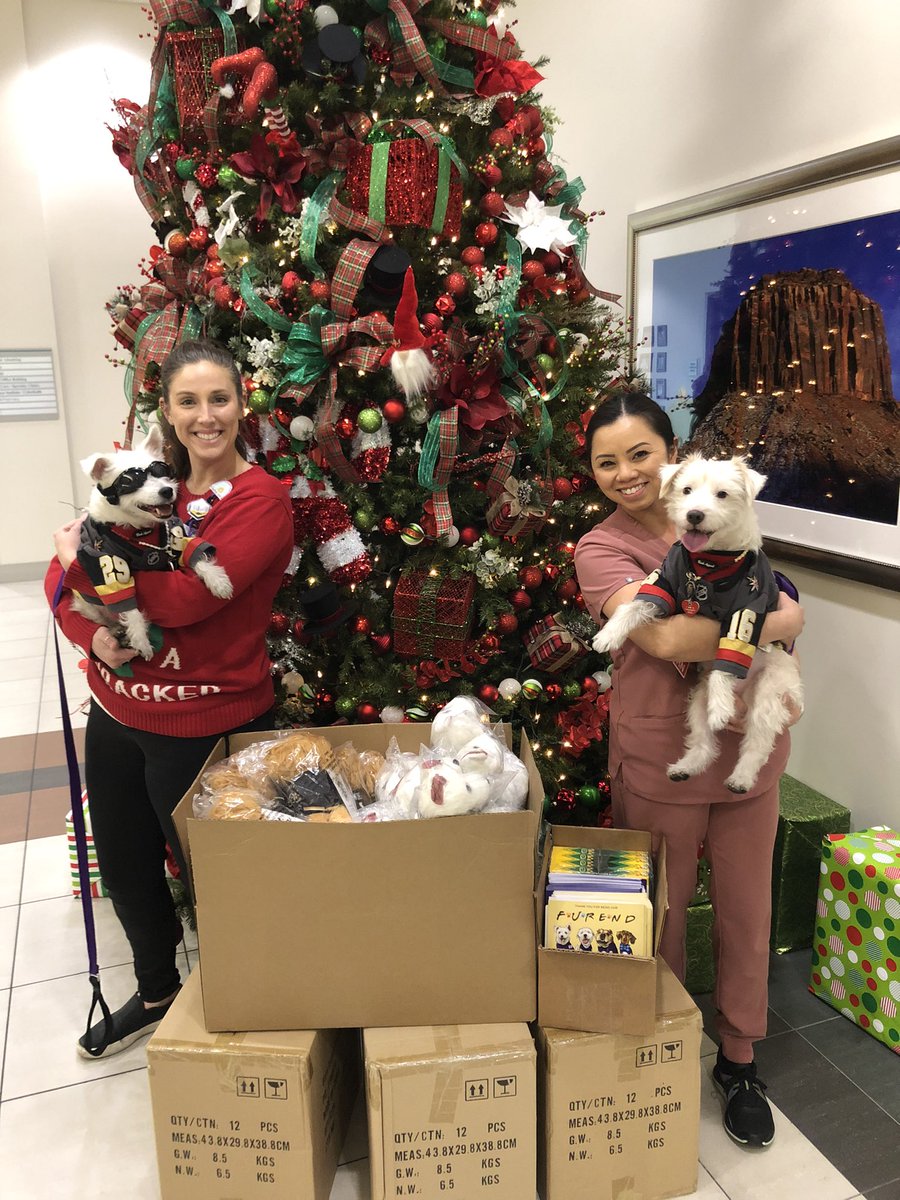 BarkAndreFurry's tweet photo. As part of our “Gift. Give. Glow!” toy drive, my brother Deke and I delivered 110 stuffies and bobbleheads, along with 100 coloring books &amp; crayons to The Children’s Medical Center at Summerlin Hospital! 
Thank you to everyone for your support!
~ Bark🐾
#PawYouNeedIsLove https://t.co/ehcAhuXc7l