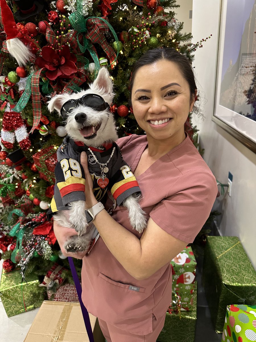 BarkAndreFurry's tweet photo. As part of our “Gift. Give. Glow!” toy drive, my brother Deke and I delivered 110 stuffies and bobbleheads, along with 100 coloring books &amp; crayons to The Children’s Medical Center at Summerlin Hospital! 
Thank you to everyone for your support!
~ Bark🐾
#PawYouNeedIsLove https://t.co/ehcAhuXc7l