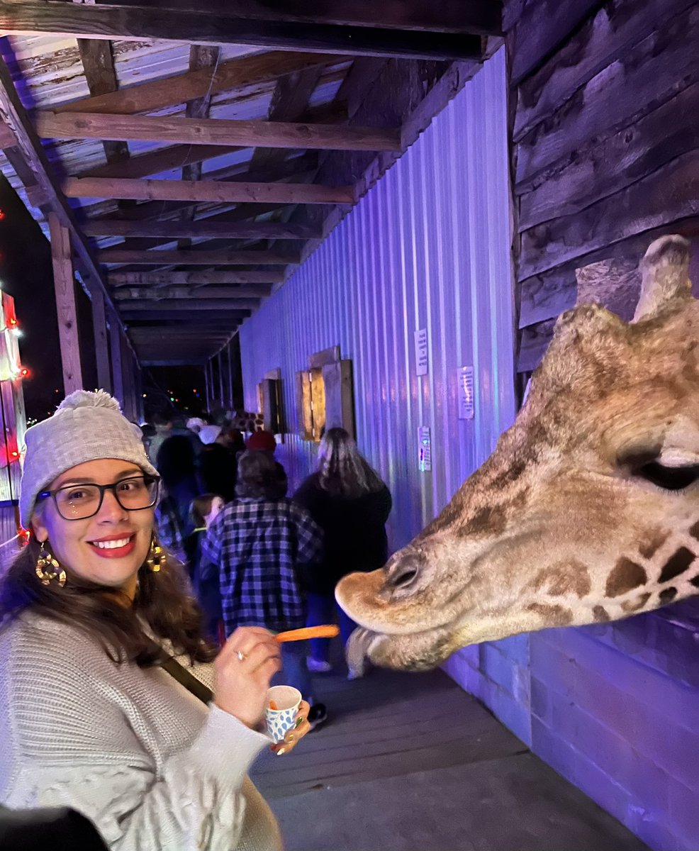 lissete_junco's tweet image. #zootastic #zootasticpark #christmas #christmasdecor #smores