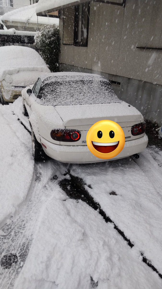 croe_cat's tweet photo. 仕事行こうと家でてたら２回スタックしたのでかえってきました https://t.co/Rj6rSZaZTj