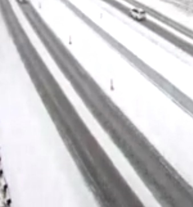 Tasha Quigley🇺🇦 tweet media