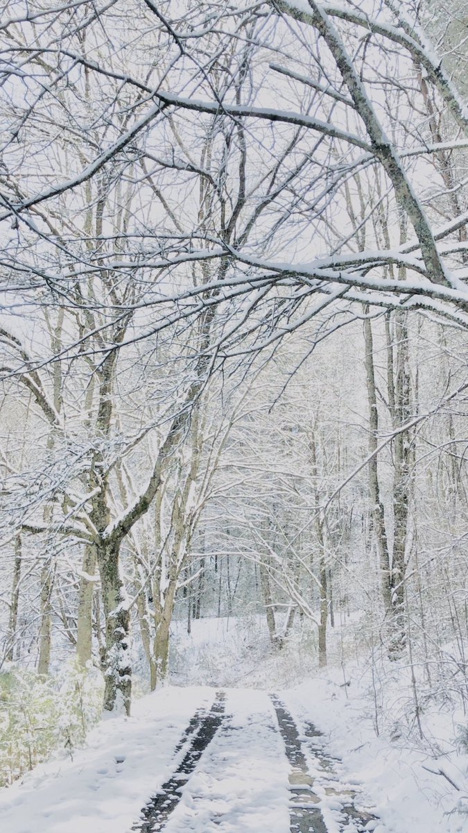 Dana Blake Scopa tweet media