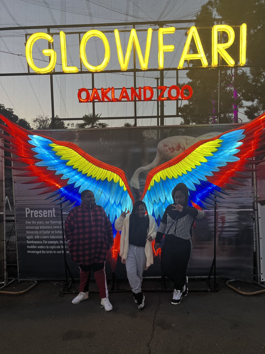 YouthALIVE510's tweet photo. Through the generosity of @OaklandZoo and in partnership with YA’s Khadafy Washington Project , 20 families (80 children and adults) attended annual #glofari this annual event bringing joy, comfort and a night to remember! https://t.co/ypsosI0EhM