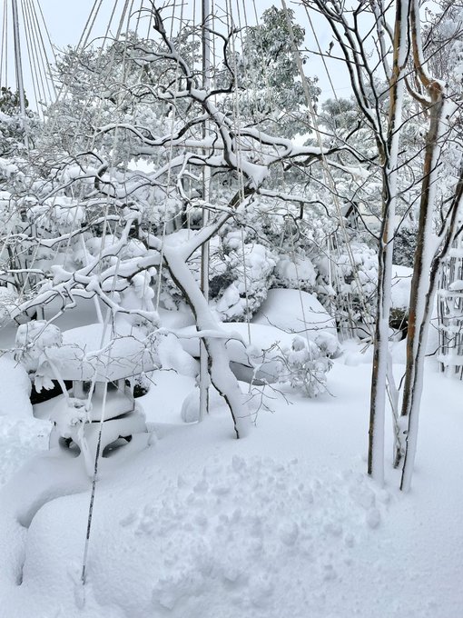 Twitterのコスプレ画像24