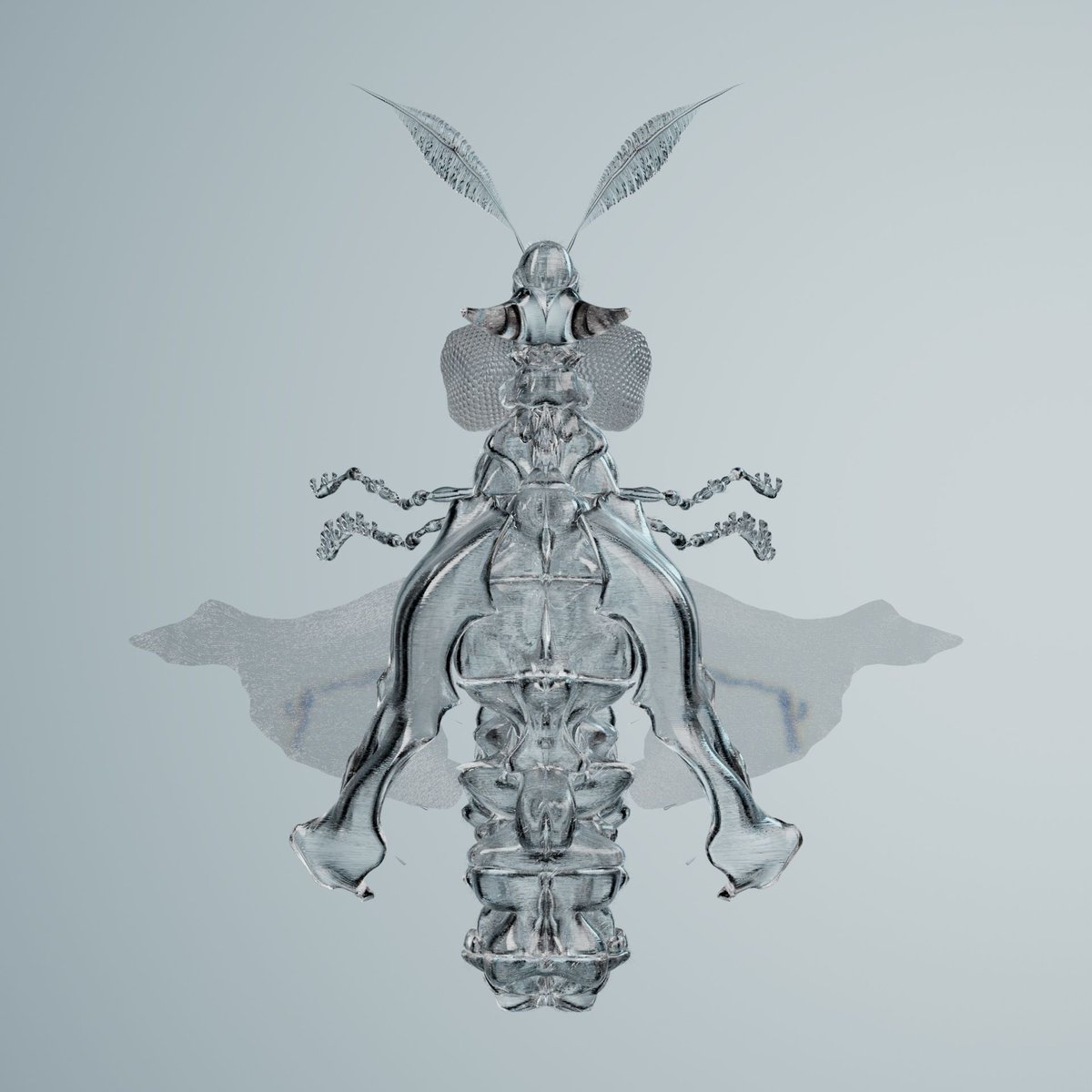 METAMORPHOSIS 👀

HATCH your larva to reveal 9 additional insect traits. 🪲

YOUR data will influence art!

//You are evolving. You are improving. You are Chrysalism.