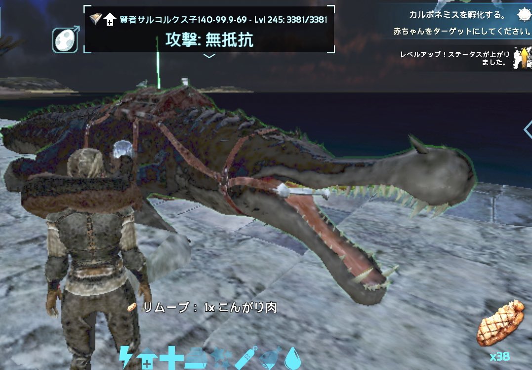 サルコスクス Twitter Bilaketa Twitter