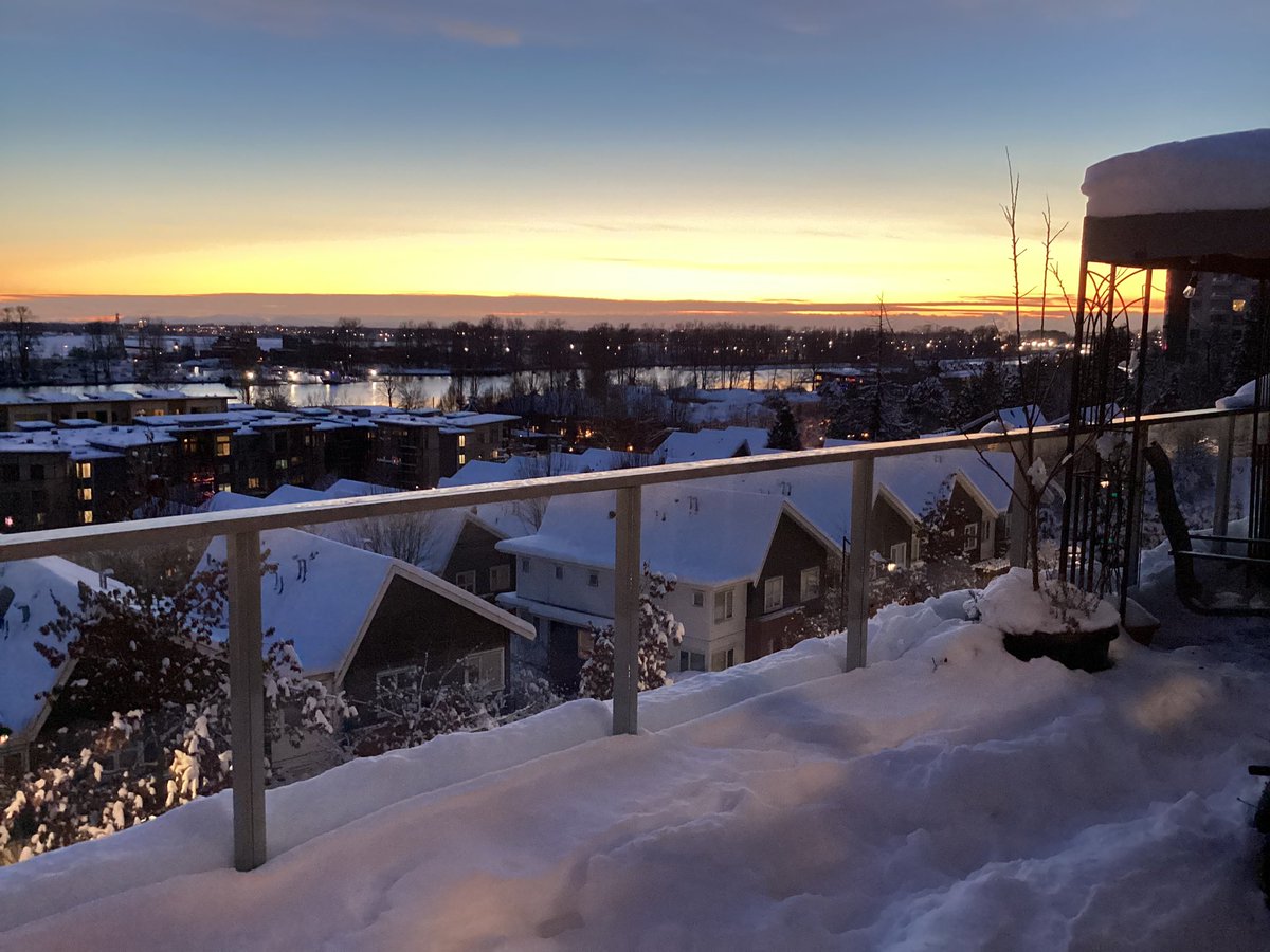 Vancouver, I love you, but we really need to get better with the whole snow removal thing. I can’t keep my garbage until spring thaw.