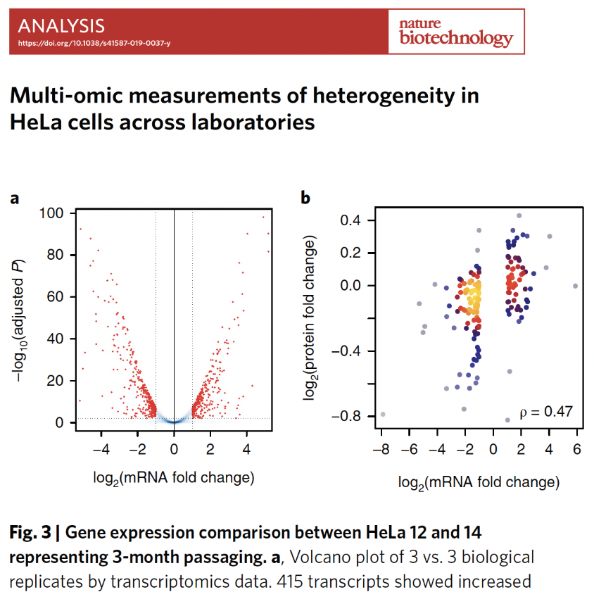 slavov_n's tweet photo. The heterogeneity of HeLa cell-lines undermines reproducibility.

HeLa cells were obtained without informed consent.

==> Researchers should avoid using HeLa cells unless required by a special justification. https://t.co/YubgYXOUpJ