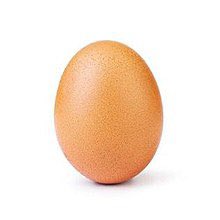 CaseyBriggs's tweet photo. RT to make this egg the most viewed thing on Twitter https://t.co/2QKIpYa8bl