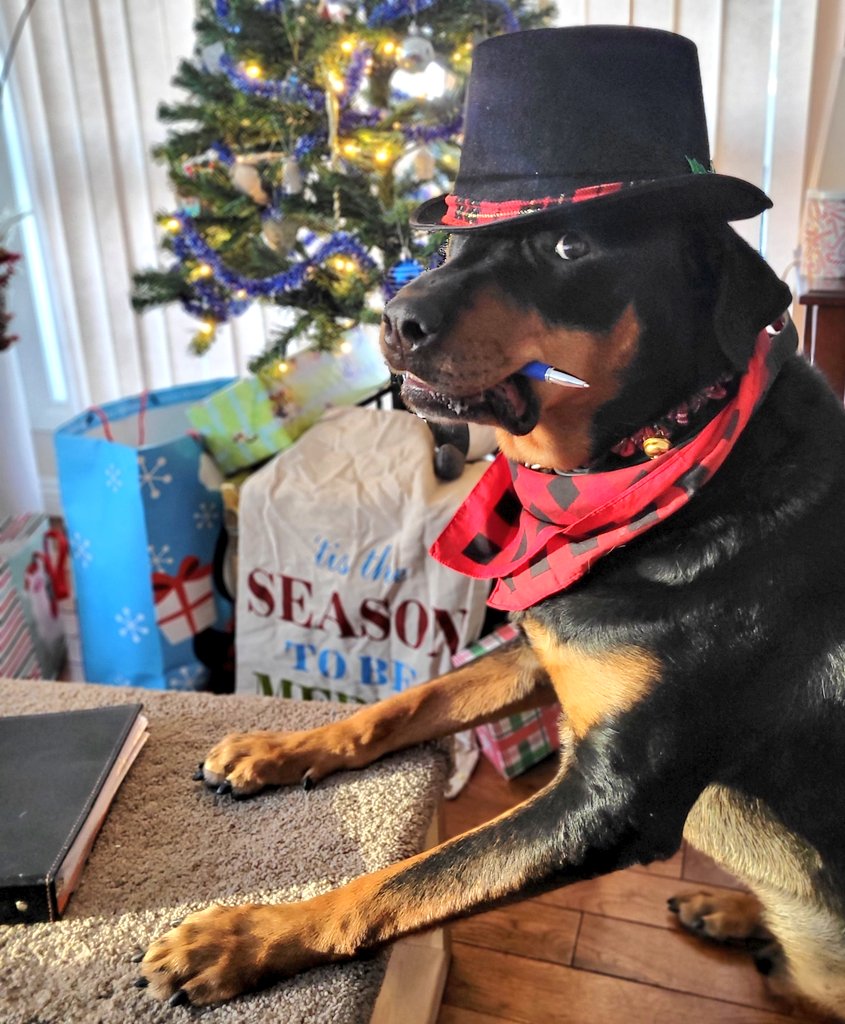 servicerotties's tweet photo. It turns out I'm only 101.5K followers behind Alberta's Premier! 
I'm slowly making headway on my secret plan to take over the Provincial Government and implement mandatory nap legislation. 

I have big plans for 2023! 

#Alberta #Dogs https://t.co/1P1z3e4Wn5