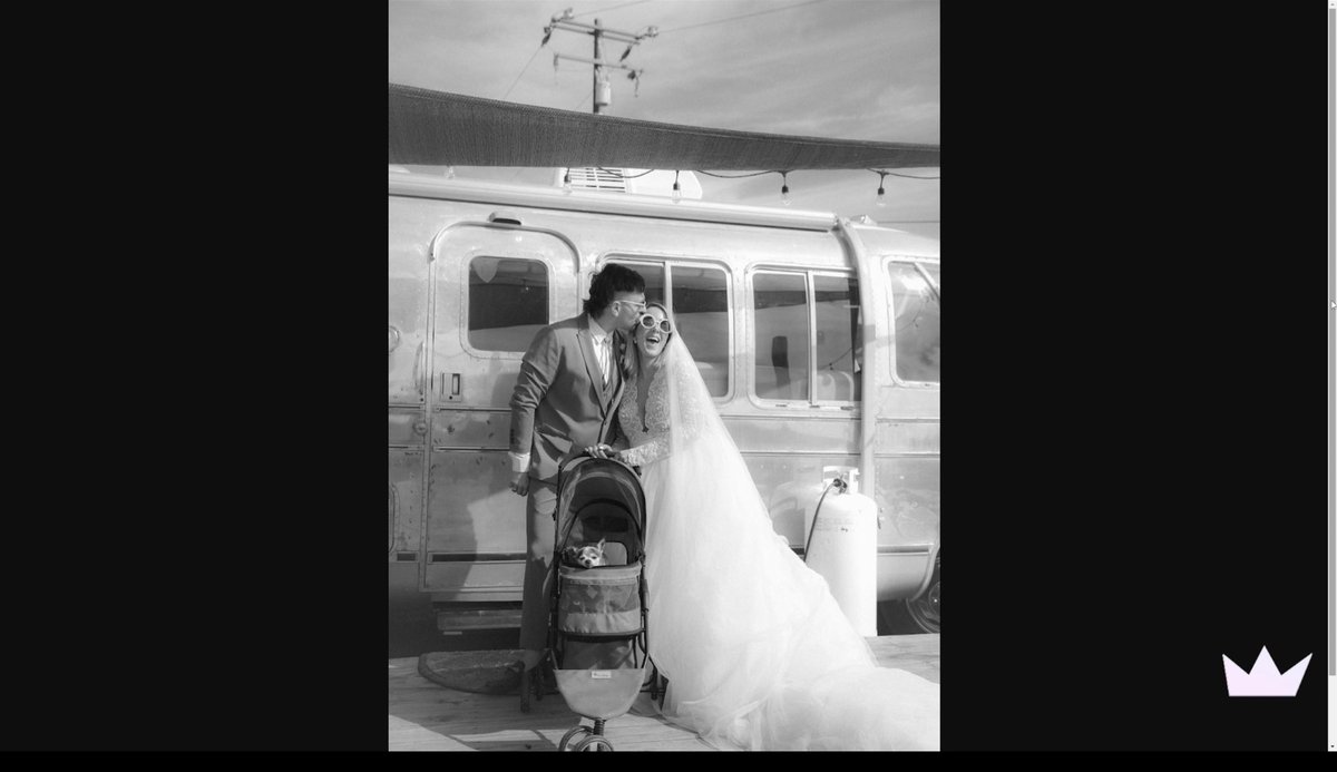 Caitlin Logan 🍉 tweet media