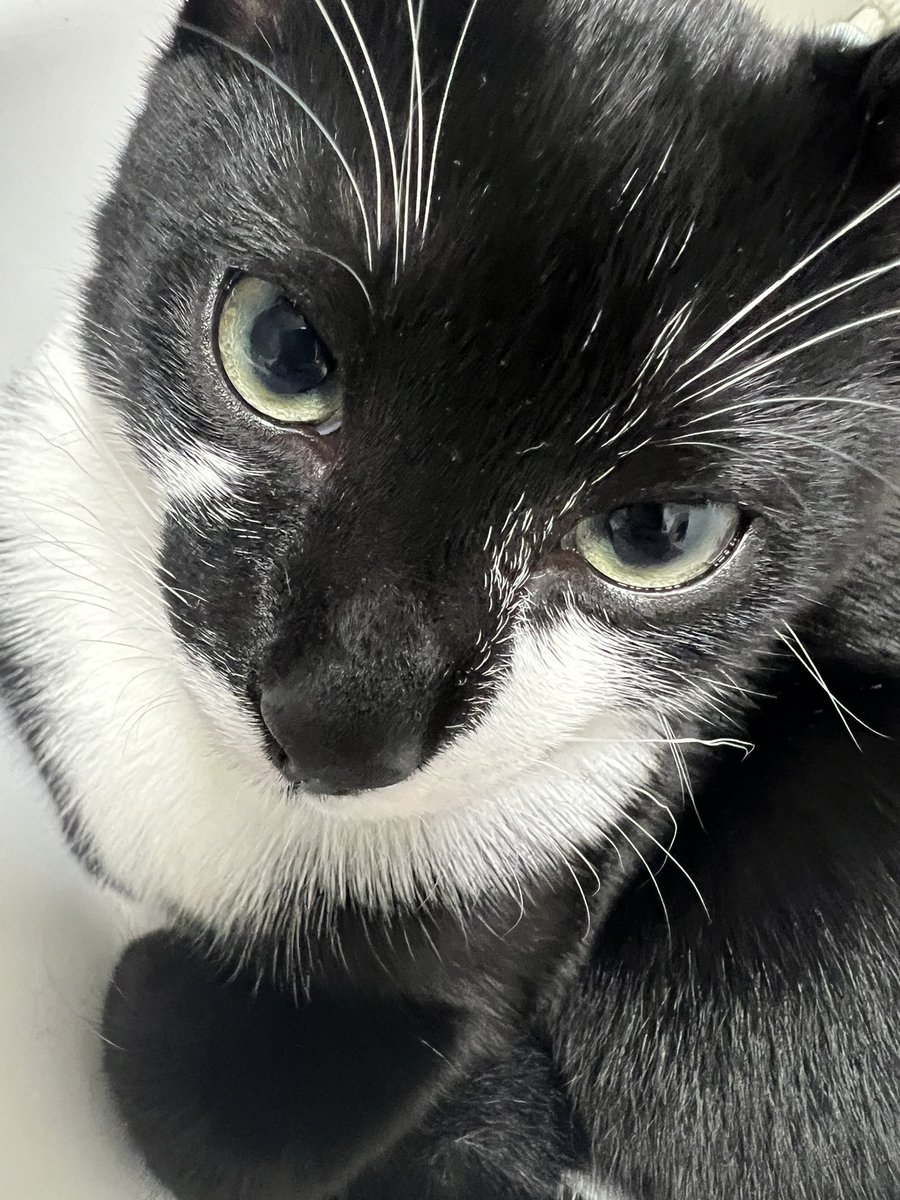 Someone’s grumpy this evening