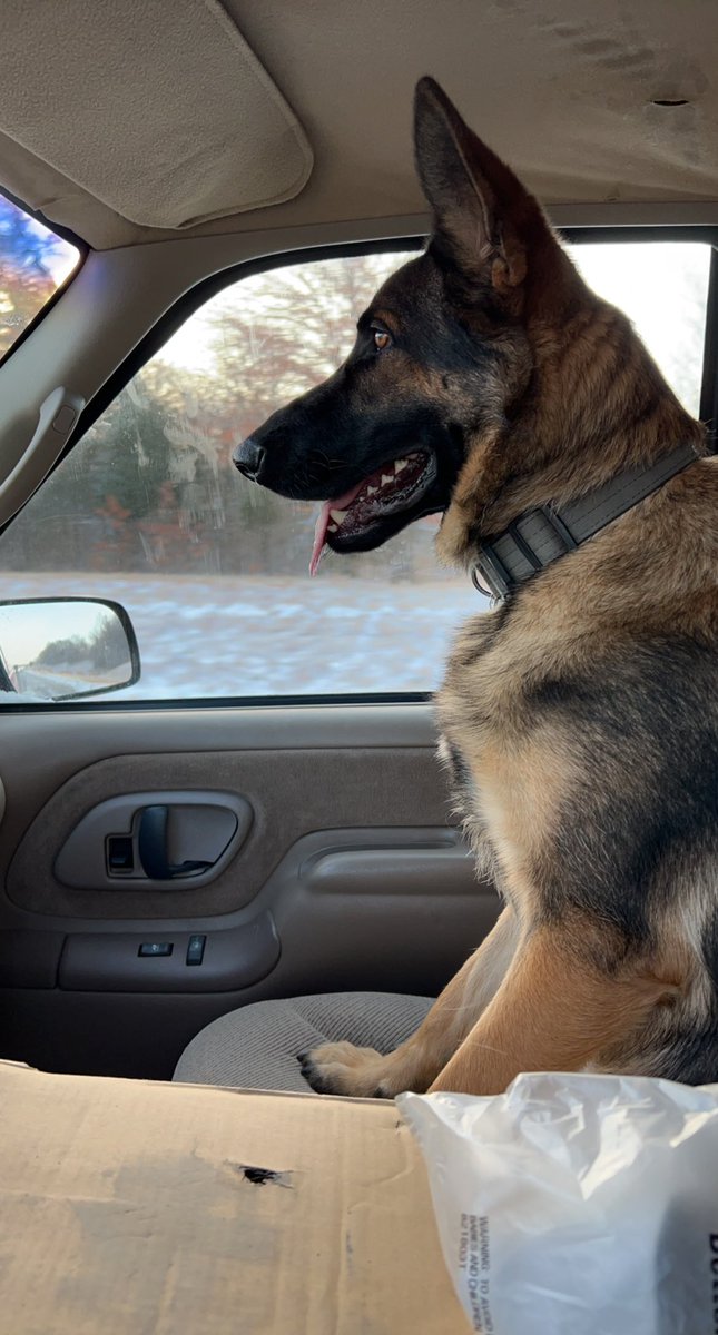 cglive's tweet image. I left my truck running at Sam’s club today with Midnight in it. Would you open the door?