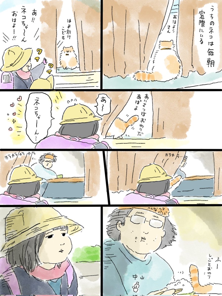 ネコを飼い始めました日記⑦
カーテンを微妙にあけていく…🐈️ 