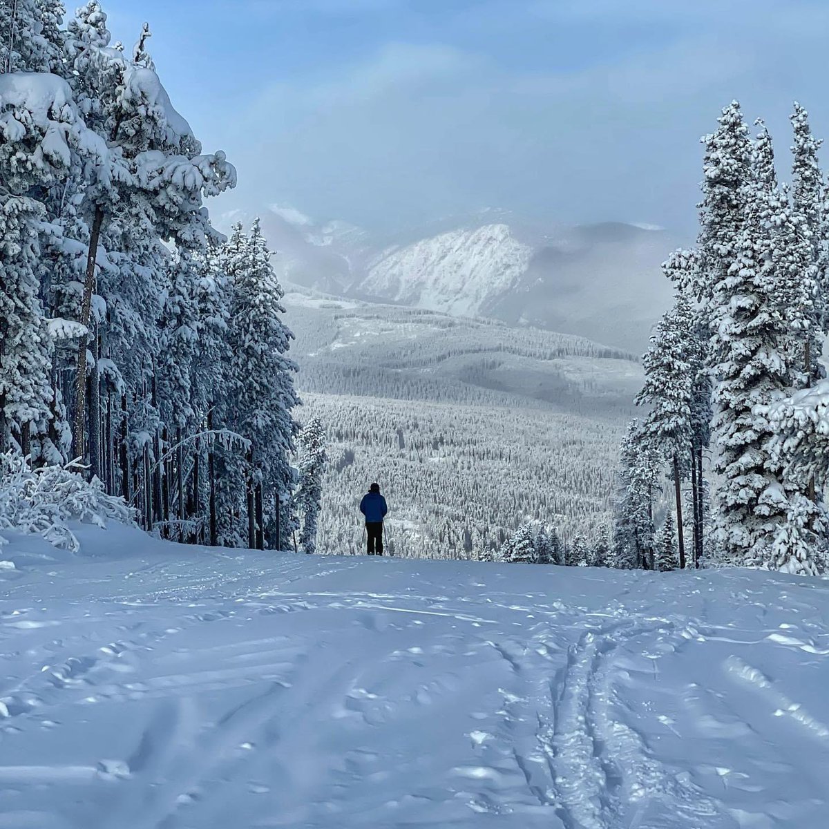 Kimberley Alpine tweet media