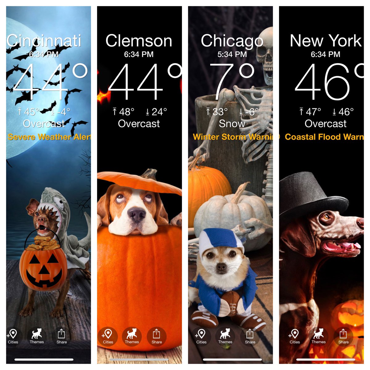 Keystone80435's tweet photo. Weather Puppy is the best weather app simply for the Halloween Theme https://t.co/gvQjcJv0fC