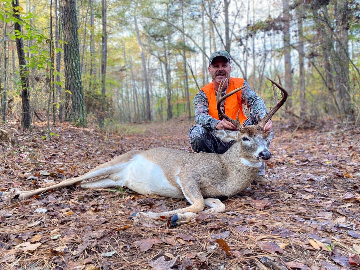 GunnellTrent's tweet photo. 10 Pointer Killed On 11/03/22. To view full video, go to YouTube: Trent Gunnell Georgia Exposure https://t.co/V5xptxyvcm