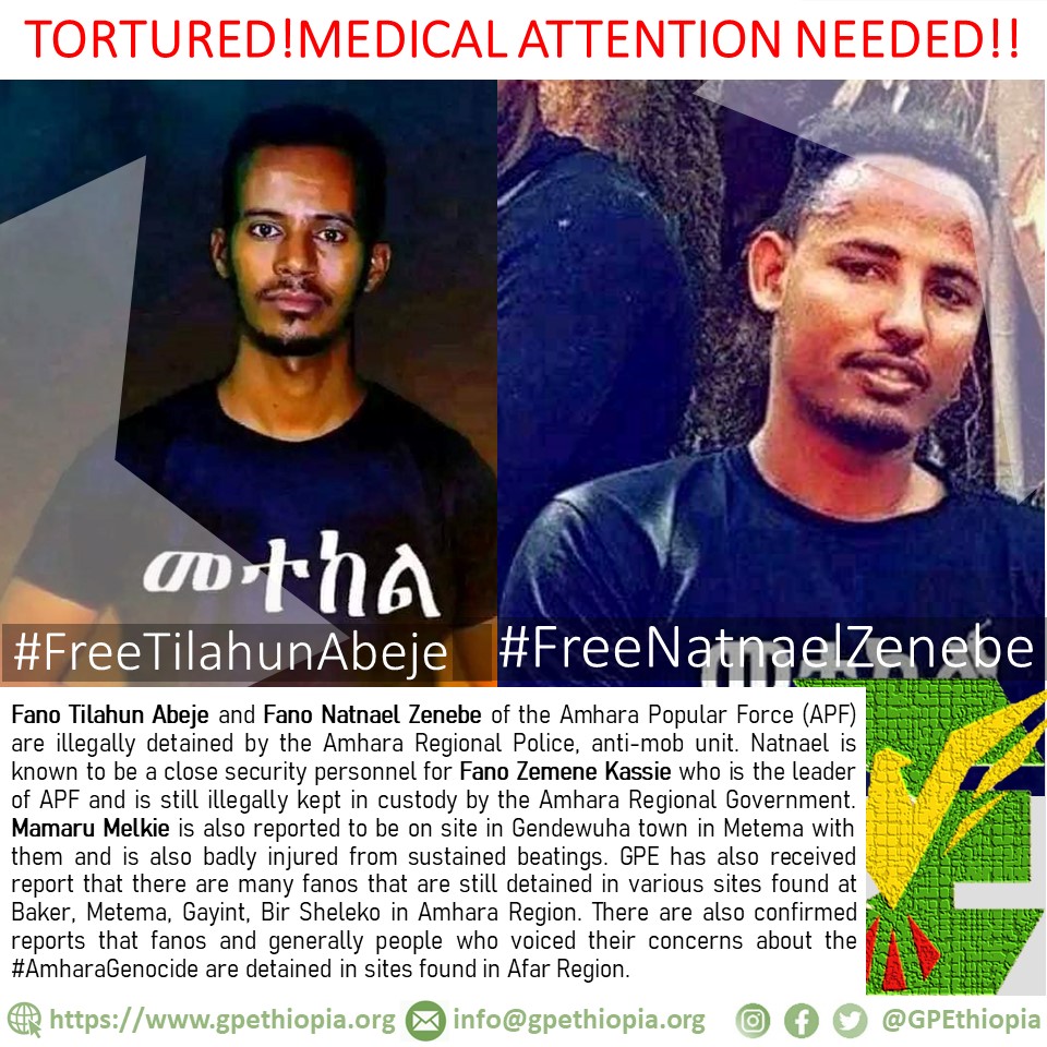 Genocide Prevention In Ethiopia tweet media