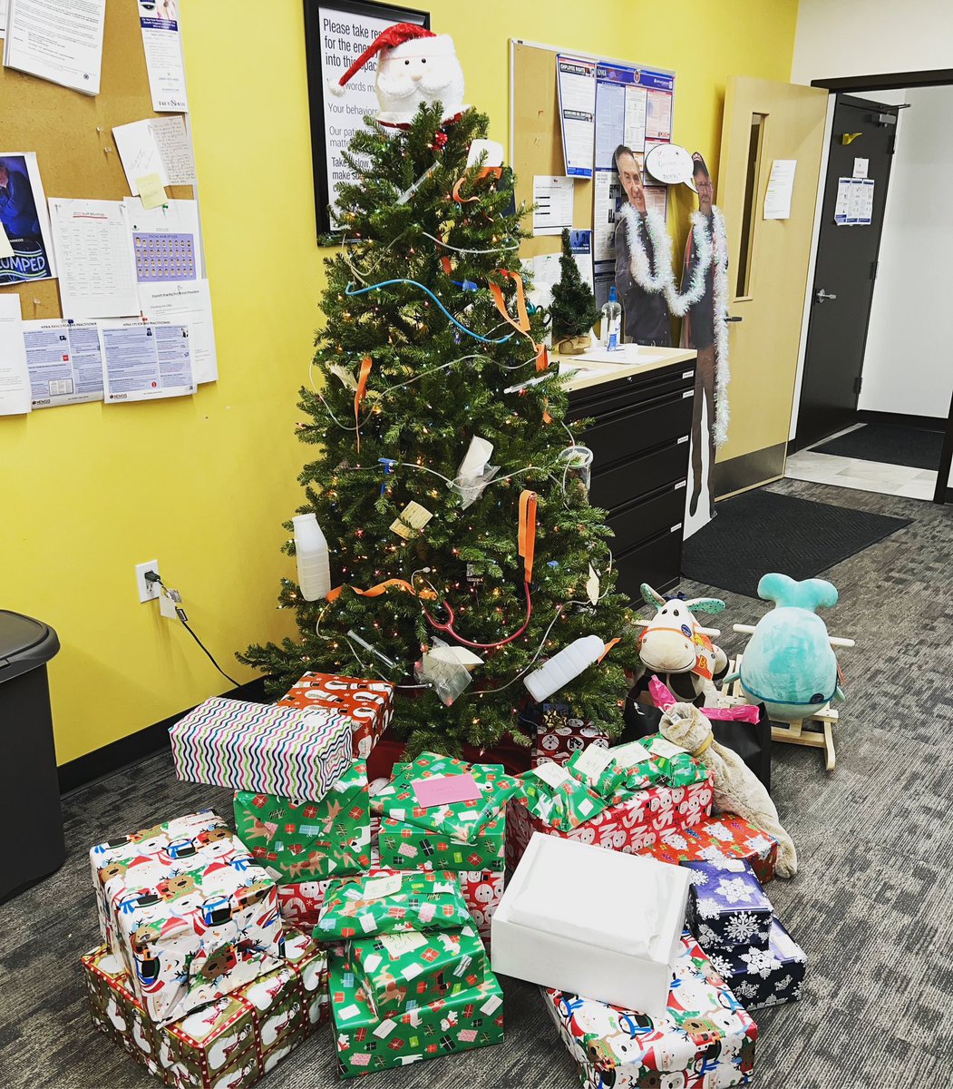 The excellence of a gift lies in its thoughtfulness rather than it’s monetary value. This year our Area Ambulance team decided to “adopt” a family in need and truly went above and beyond. We hope this takes some stress away from their holiday season this year.