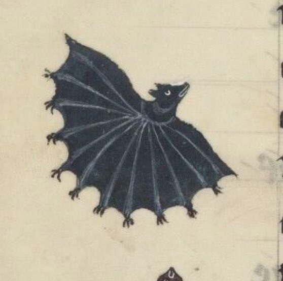 bat, france, 14th century