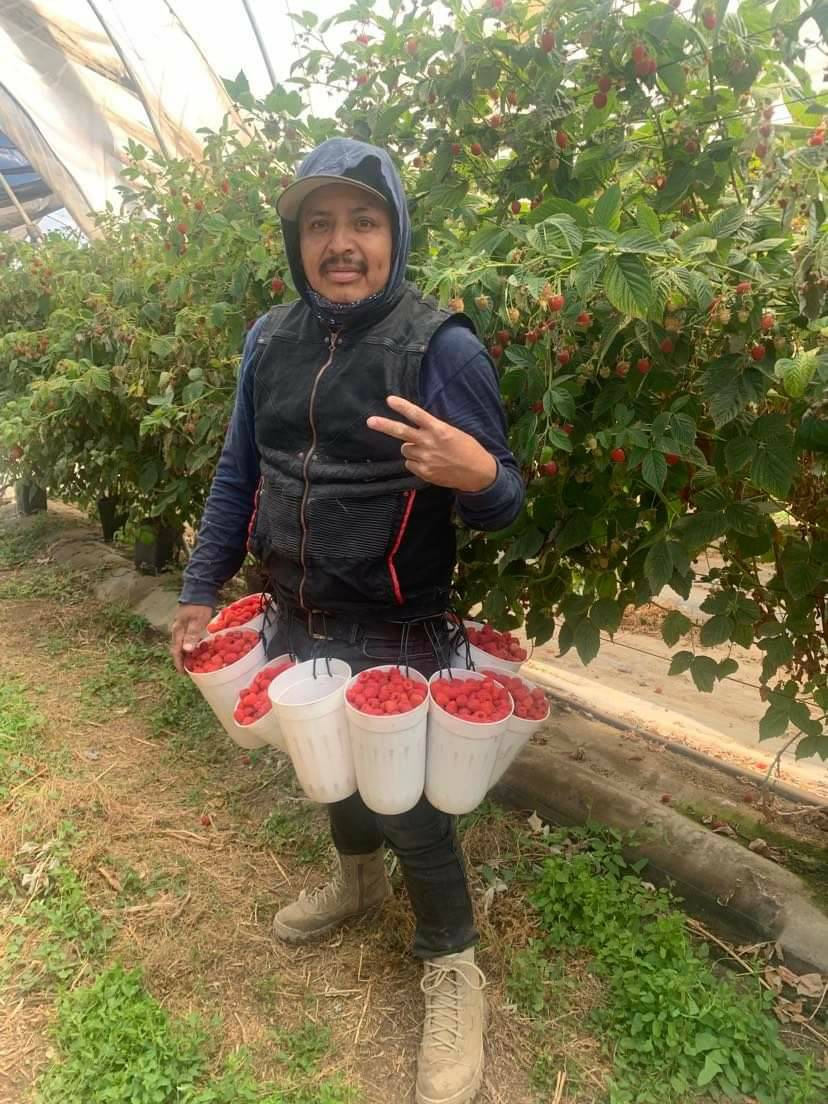 United Farm Workers tweet media