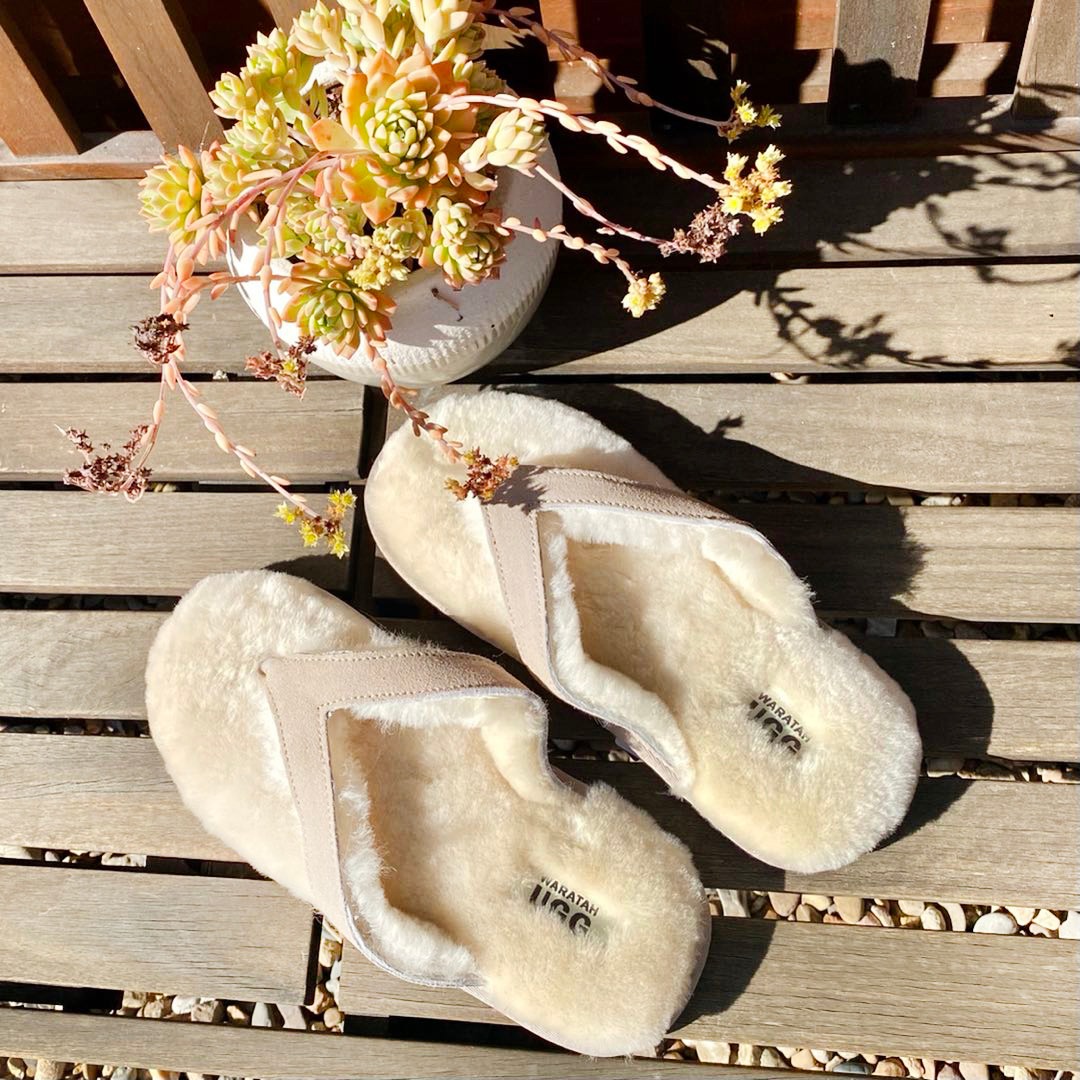 WaratahUgg's tweet photo. WARATAH UGG Wool Thong Sand
#waratahugg #southcoastnsw #sheepskin #moruya #australian #fashion #ugg #uggs #uggboots #uggslides #footwear #womensboots #mensfashion #mensboots #kidsfootwear #kidsboots #boots #slippers #flipflops #tallboot #waterresistant #scuffs #woolthong #sand https://t.co/kfUChCmNW7
