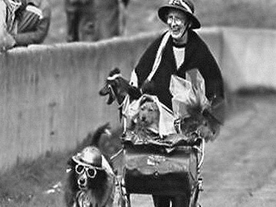 Limerick Archives tweet media