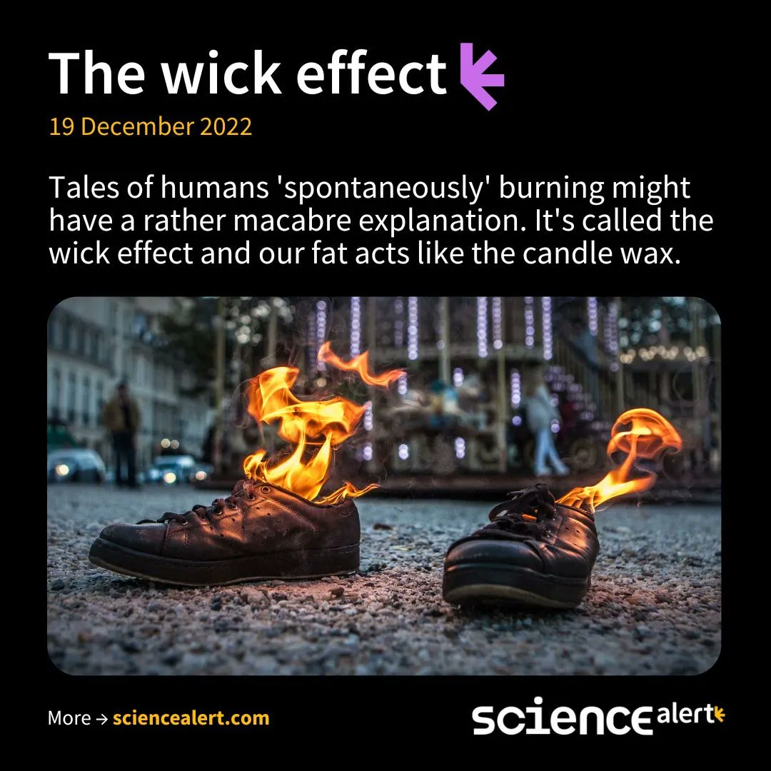 ScienceAlert on Twitter "In 1998, scientists in the UK tried to replicate the phenomenon with a