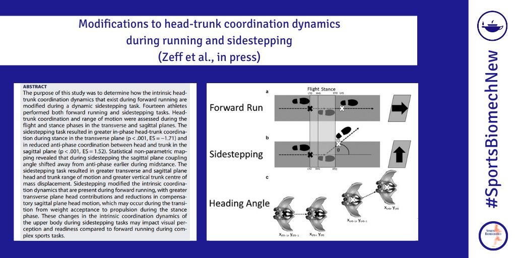 sportsbiomechj's tweet photo. Modifications to head-trunk coordination dynamics during running and sidestepping

https://t.co/eF28DyT9n7 

#SportsBiomechNew by @sam_zeff, @gillian_weir_, Pataky, Hamill &amp; van Emmerik https://t.co/Ne969zTRAP