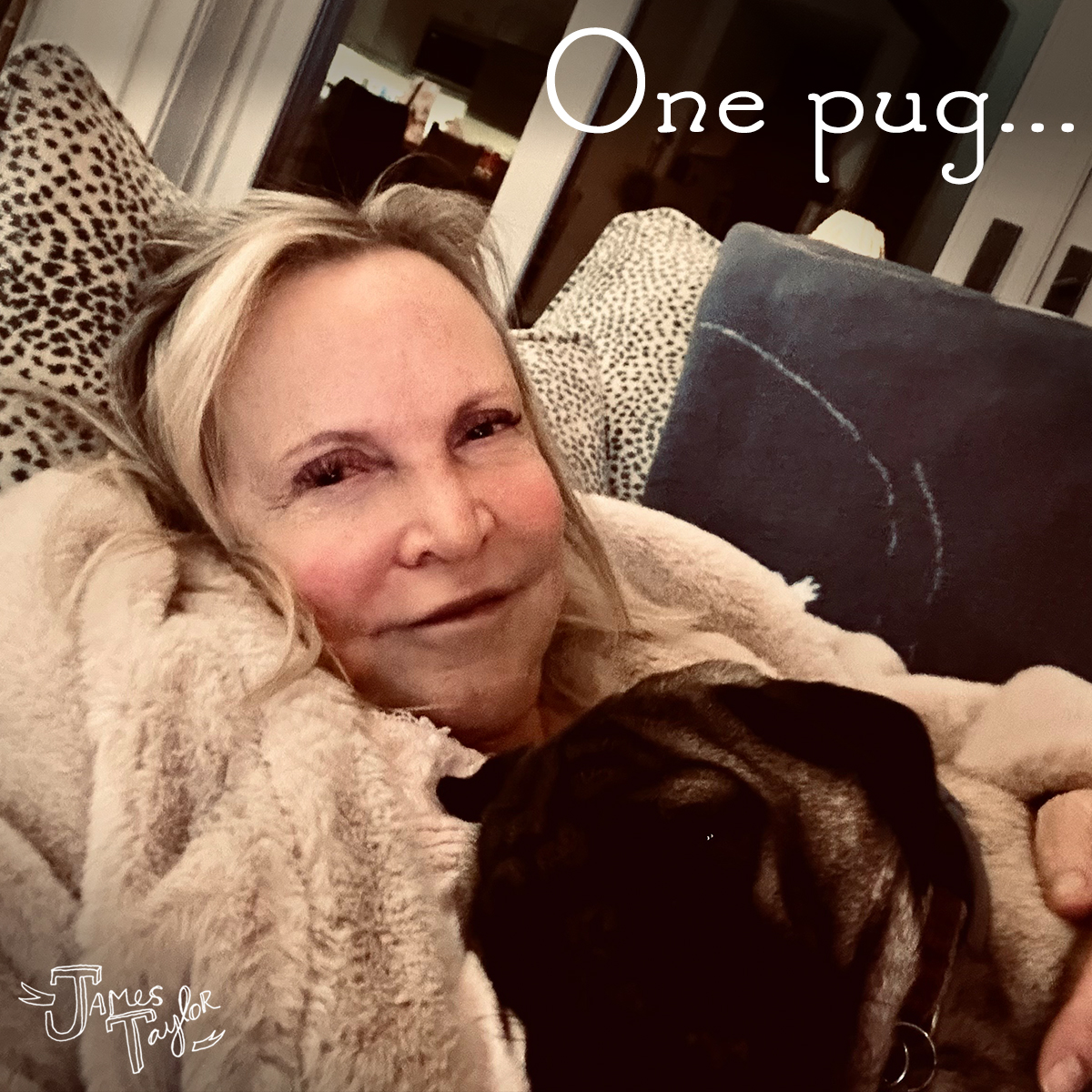 James Taylor on Twitter "It's a puggly Christmas at the Taylor house