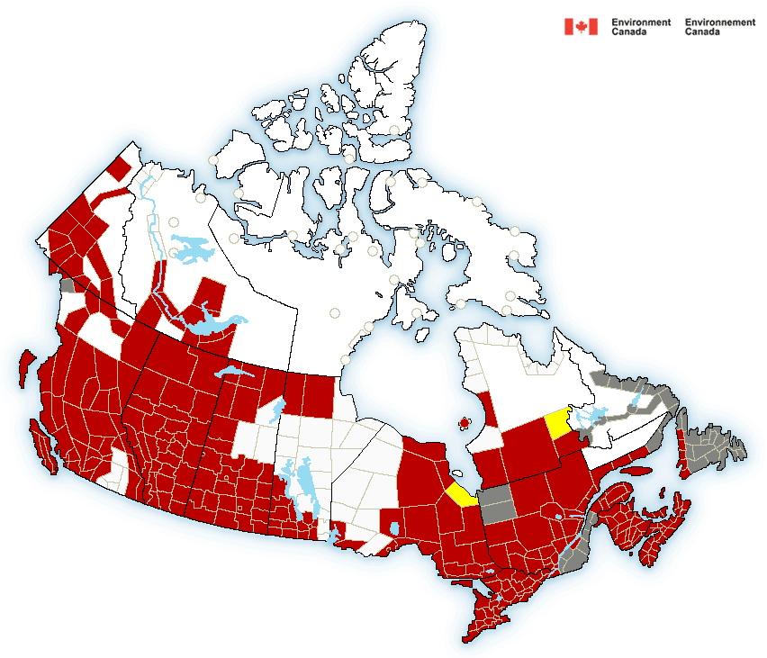 Well, now you know the reason why our Canadian flag is Red &amp; White!
;)
#canada #weather #watches #warnings #winter #winterweather #winterstorm

#ONStorm #PEStorm #ABStorm #BCStorm #MBStorm #NSStorm #QCStorm #NBStorm #NLStorm #NTStorm #YTStorm 
<a href="/ryanhallyall/">Ryan Hall, Y’all</a>