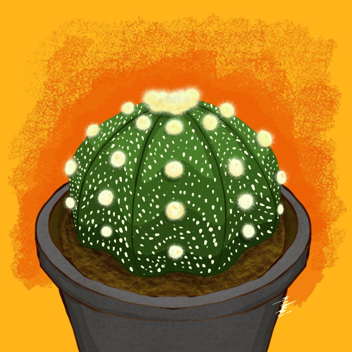 katykman's tweet photo. 🌵🌵🌵🌵 https://t.co/ti9O3SiTQ0