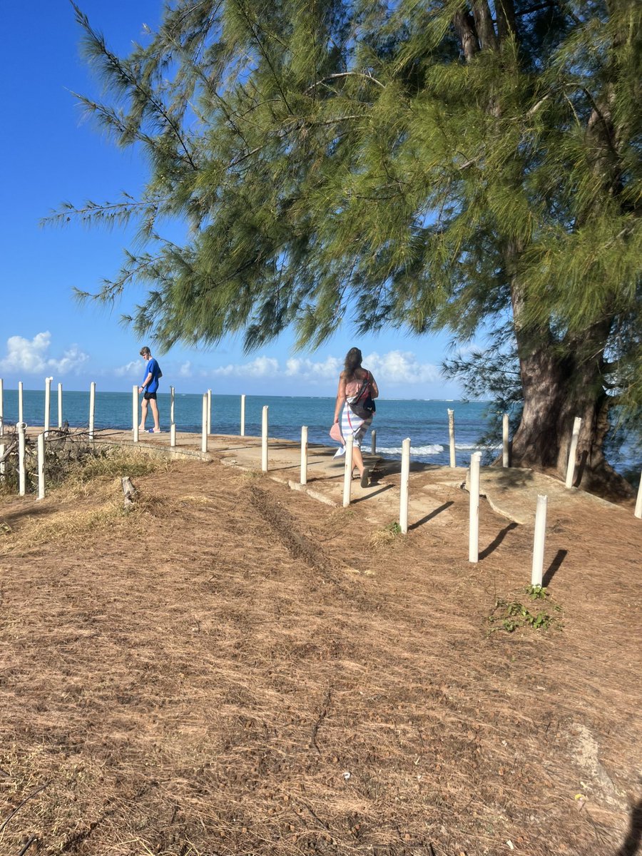 regulatorjmm's tweet photo. Falling in love with this island … @discover_PR #sanjuan #avoidingwinter https://t.co/KkH3U5SYvf