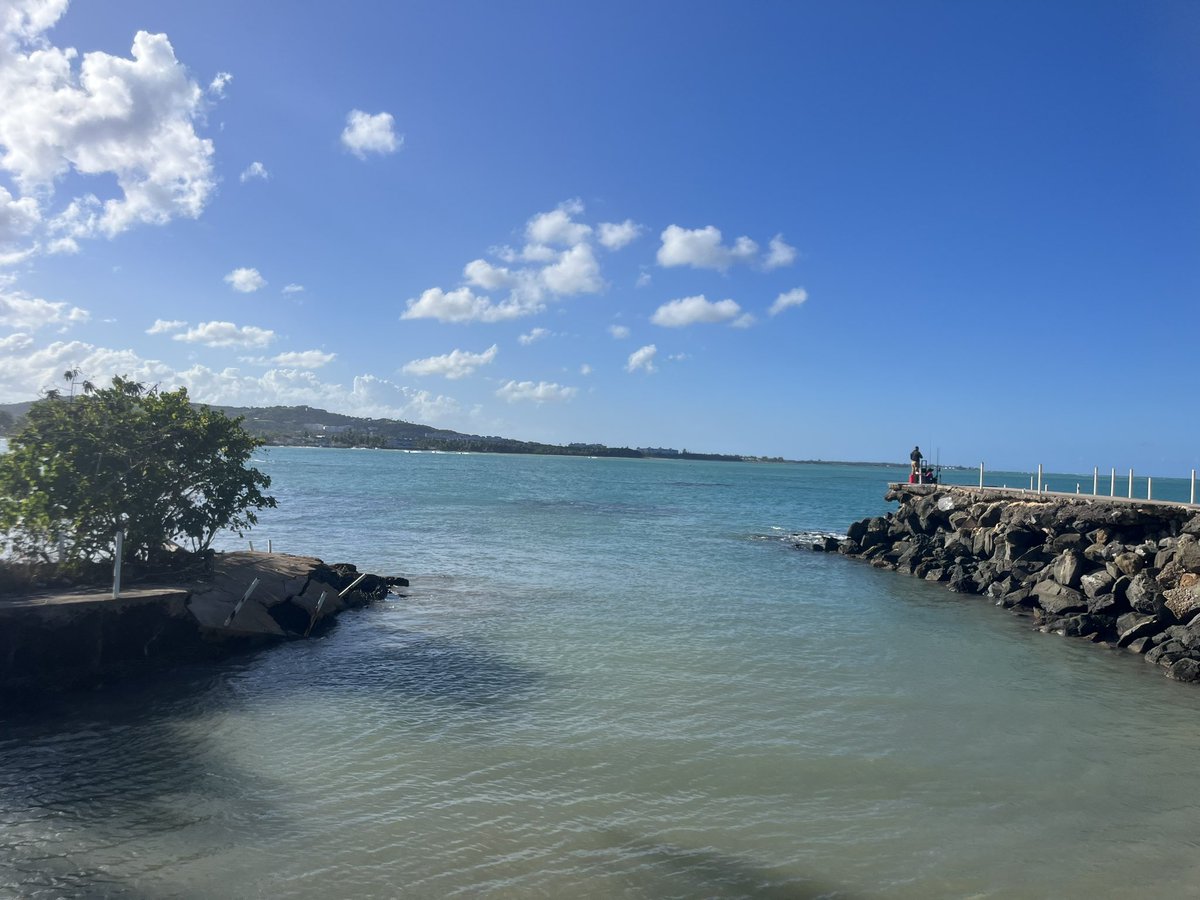 regulatorjmm's tweet photo. Falling in love with this island … @discover_PR #sanjuan #avoidingwinter https://t.co/KkH3U5SYvf