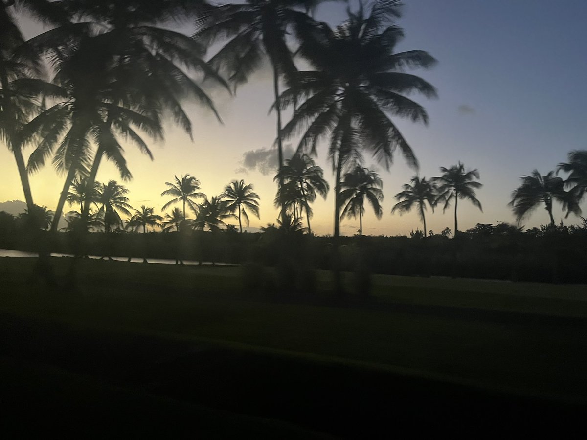 regulatorjmm's tweet photo. Falling in love with this island … @discover_PR #sanjuan #avoidingwinter https://t.co/KkH3U5SYvf