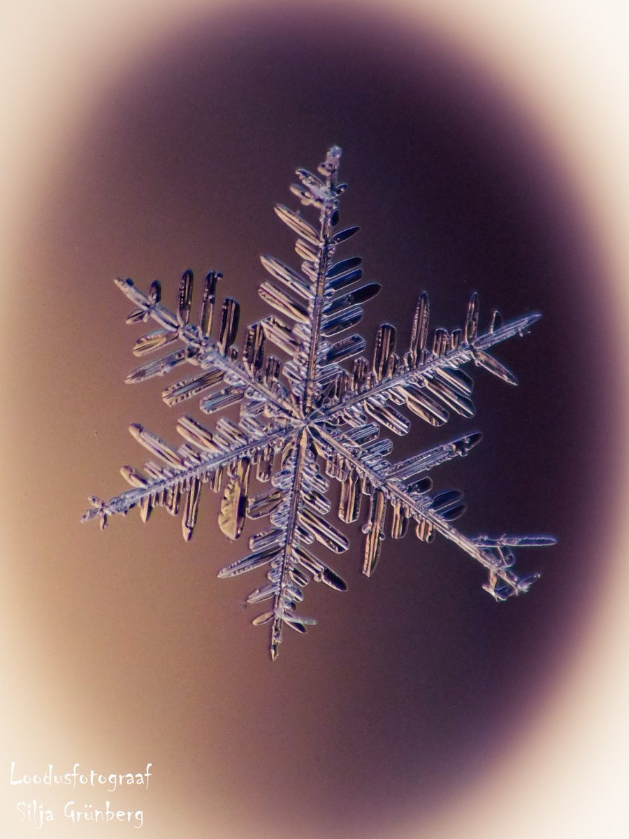 SiljaFoto's tweet photo. Real snowflake ❄️
20.11.2022
Estonia 🇪🇪
Nikon coolpix B500
instagram : @silja_photography
#snowflakephotography #realsnowflake #snowcristals #snowflakeofestonia #snowflakes #snow #snowflakemacro #macrosnowflake #macrosnowflakes https://t.co/sFSHfVFRke