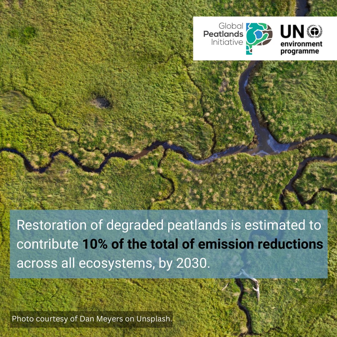 Better peatland management could help halt #biodiversity loss, support #climatechange mitigation and adaptation and improve the livelihoods of communities living in these landscapes 🏞️
#PeatlandsMatter 
#GlobalPeatlandsAssessment report out now👇 bit.ly/3X7KbZP
@unepwcmc