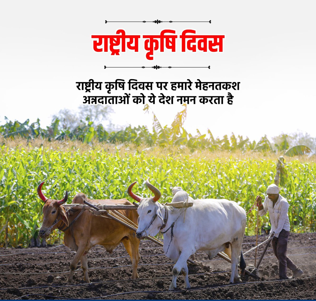 किसानों की आर्थिक स्थिति ठीक नहीं होगी तब तक देश की प्रगति संभव नहीं है (चौधरी चरण सिंह जी)
देश के पूर्व प्रधानमंत्री, किसान कमेरे वर्ग की आवाज को बुलंद करने वाले चौधरी चरण सिंह जी की जयंती पर कोटि कोटि प्रणाम।
 आपकी देन देश का किसान कभी नहीं भूल सकता🙏
<a href="/jayantrld/">Jayant Singh</a>
<a href="/ANI/">ANI</a>