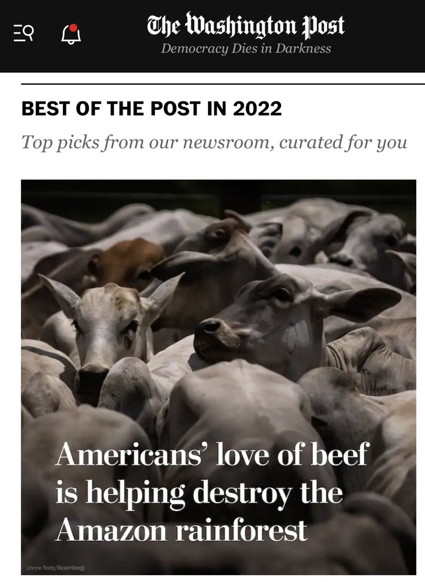 treebiology's tweet photo. #STOPEATINGBEEF #rainforest #deforestation #wearetheproblem
https://t.co/objnLtsyge https://t.co/E1nXW7R1Oq