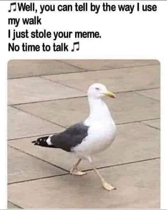 Peedz tweet media