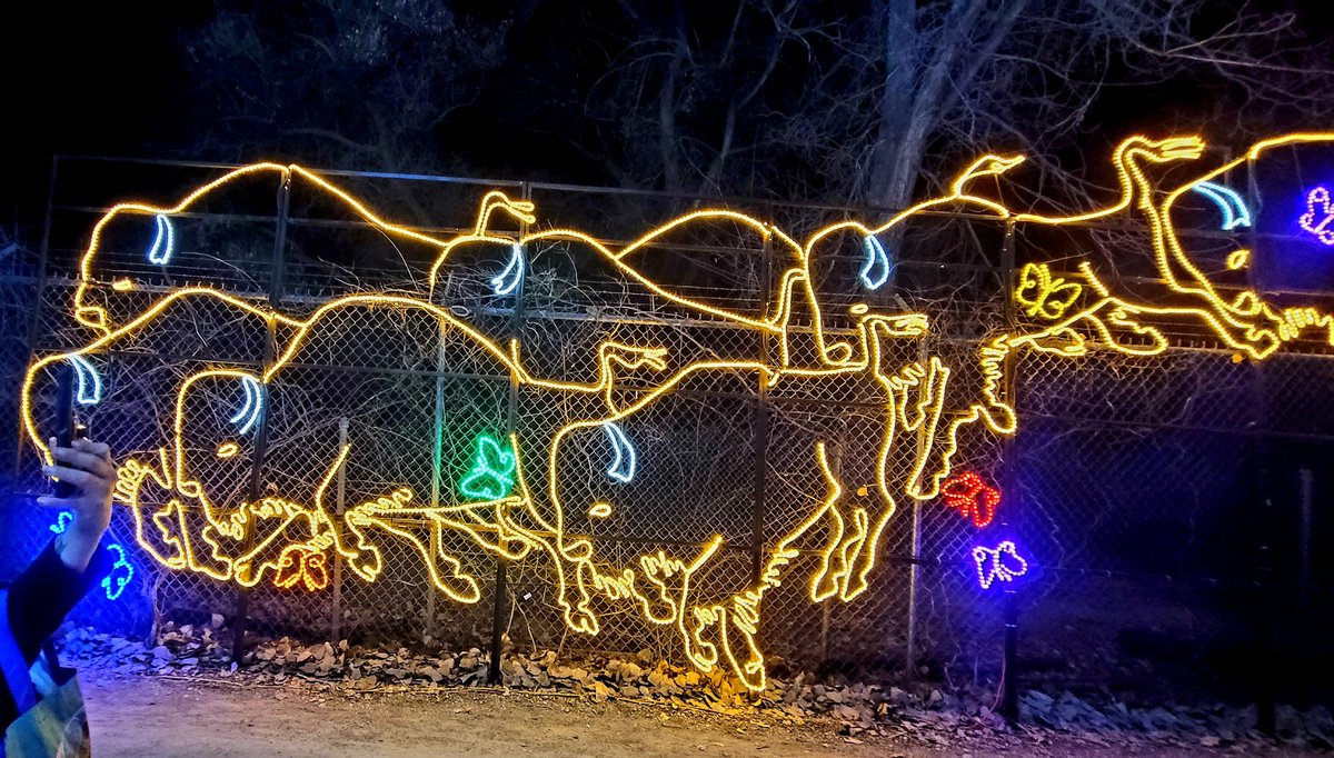 DaffyKimba's tweet photo. #Albuquerque #BioPark #botanicalgardens #RiverOfLights #Christmas2022 https://t.co/zI1xgQDQhr
