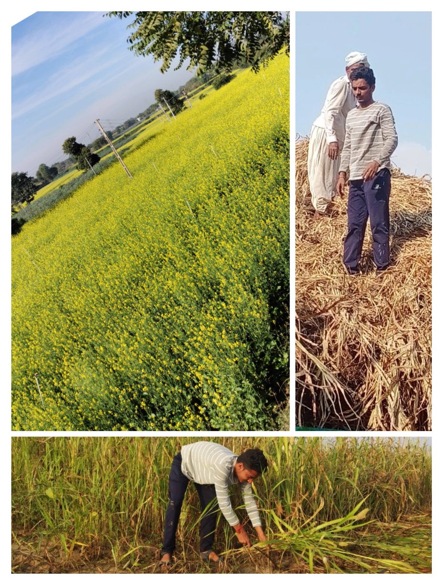 Ashokp151's tweet photo. #KisanDiwas #farmersday2022 #ખેડૂતપુત્ર https://t.co/Nj42ckpKYv